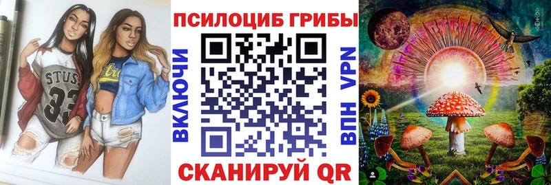 Галлюциногенные грибы мицелий  Купить где  Дигора 
